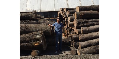 Професійний підхід до вибору деревини від MIRT: як ми робимо меблі унікальними?